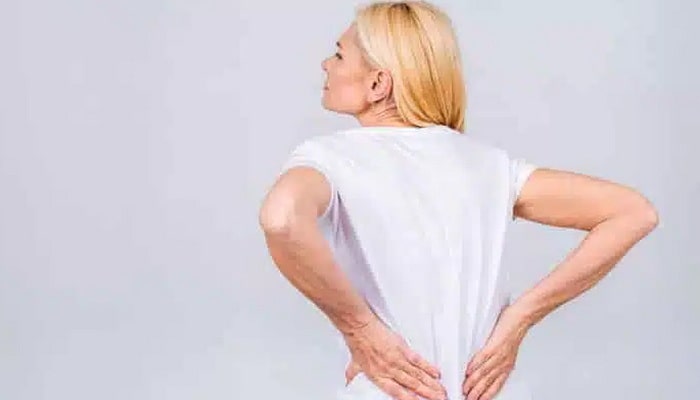 Herbs for osteoporosis - properties and uses