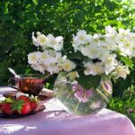 Літні квіти - 6 пропозицій для вашого саду