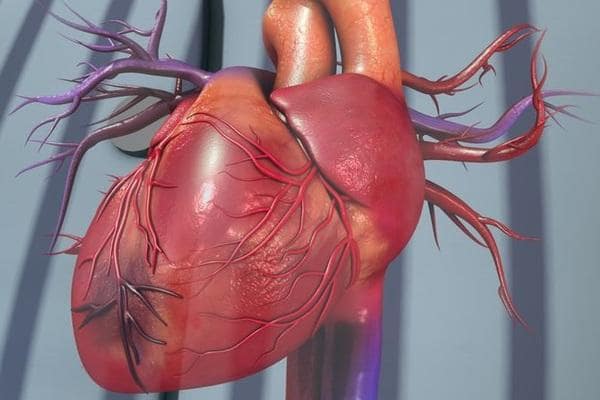 Що шкідливо для серця і призводить до серцевого нападу?