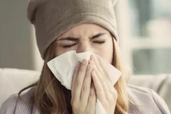 Ехінацея в лікуванні грипу як протигрипозні засоби