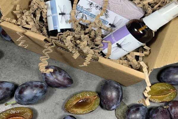 The use of plum oil in cosmetics