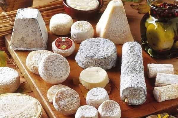 Goat cheese - properties