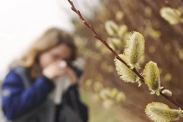 Вдихувані алергени: календар пилку рослин - що і коли викликає у нас алергію?
