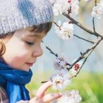 Весняна алергія: засоби від алергії на пилок